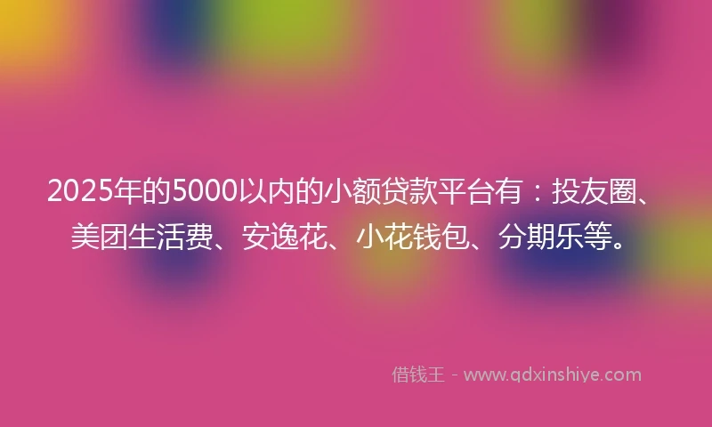 2025年的5000以内的小额贷款平台有：投友圈、美团生活费、安逸花、小花钱包、分期乐等。
