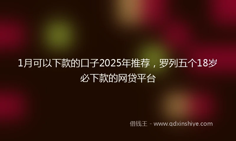 1月可以下款的口子2025年推荐，罗列五个18岁必下款的网贷平台