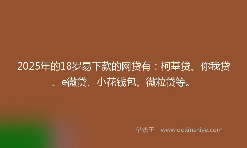 2025年的18岁易下款的网贷有：柯基贷、你我贷、e微贷、小花钱包、微粒贷等。