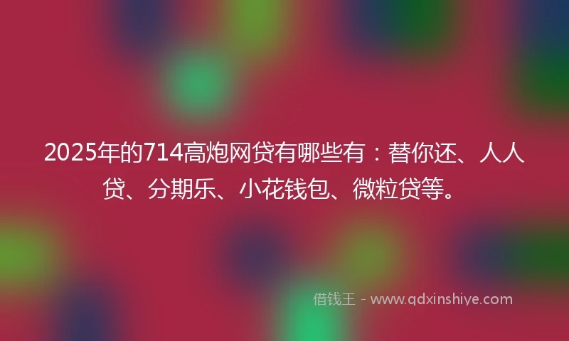 2025年的714高炮网贷有哪些有：替你还、人人贷、分期乐、小花钱包、微粒贷等。