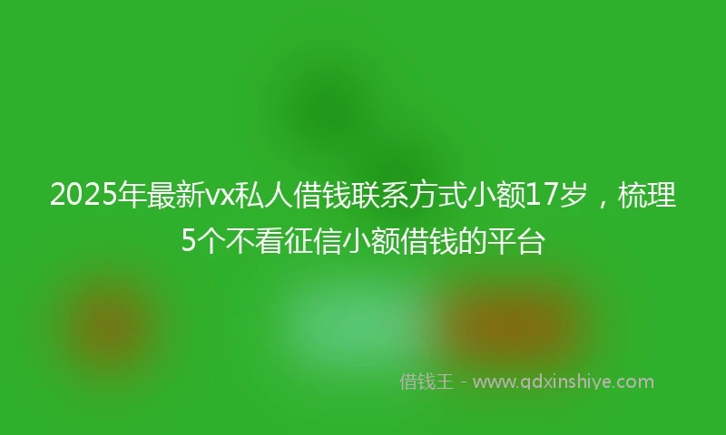 2025年最新vx私人借钱联系方式小额17岁，梳理5个不看征信小额借钱的平台