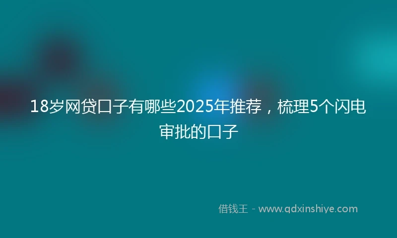 18岁网贷口子有哪些2025年推荐，梳理5个闪电审批的口子