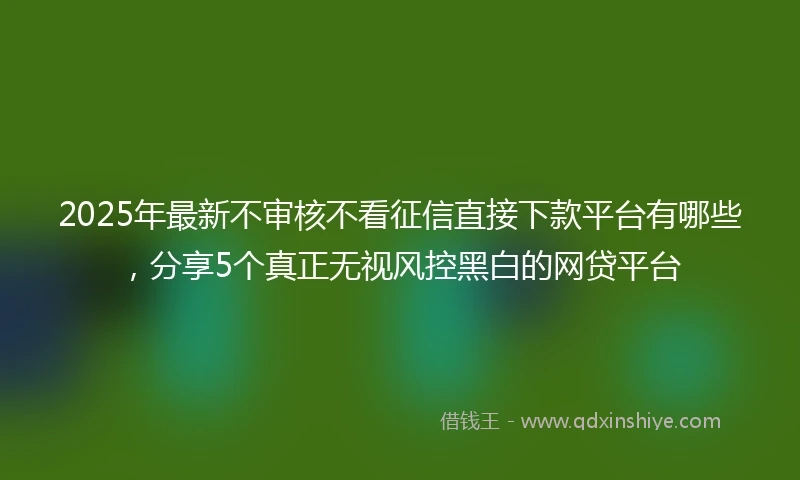 2025年最新不审核不看征信直接下款平台有哪些，分享5个真正无视风控黑白的网贷平台