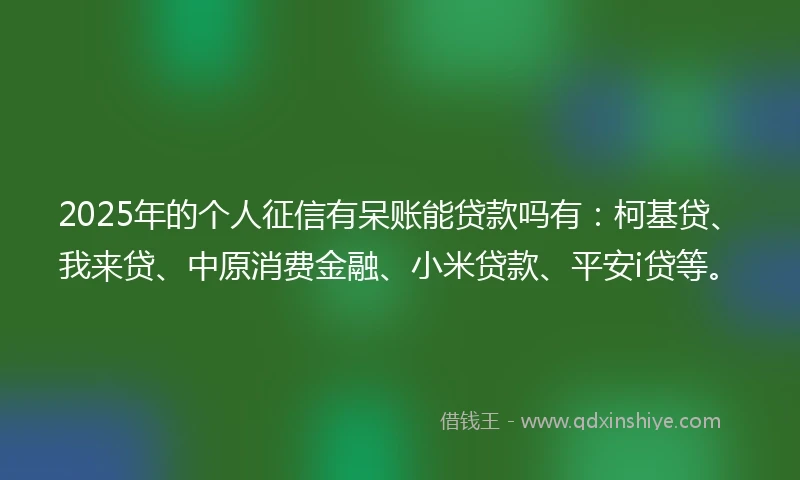 2025年的个人征信有呆账能贷款吗有：柯基贷、我来贷、中原消费金融、小米贷款、平安i贷等。