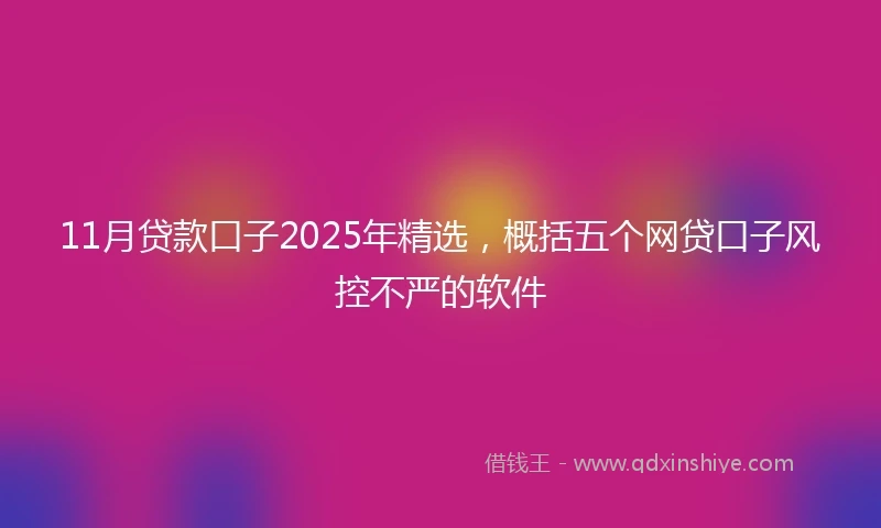 11月贷款口子2025年精选，概括五个网贷口子风控不严的软件