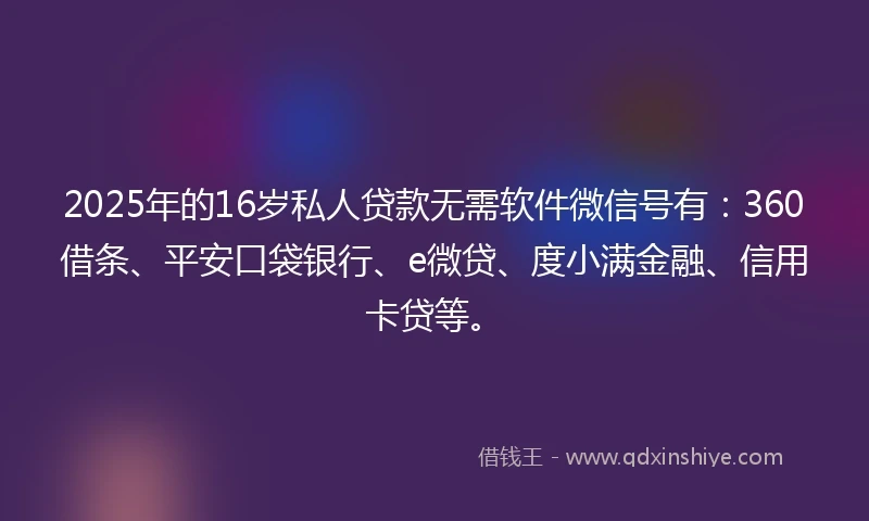 2025年的16岁私人贷款无需软件微信号有：360借条、平安口袋银行、e微贷、度小满金融、信用卡贷等。