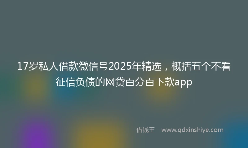 17岁私人借款微信号2025年精选，概括五个不看征信负债的网贷百分百下款app