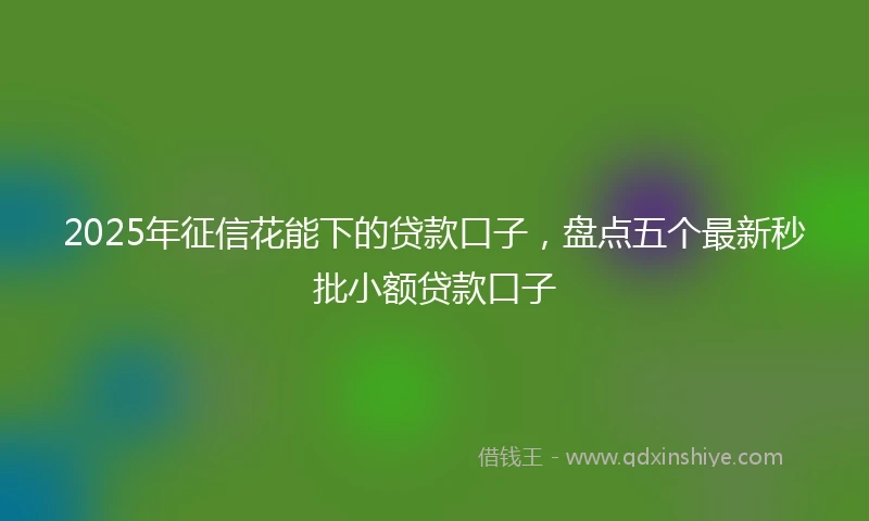 2025年征信花能下的贷款口子，盘点五个最新秒批小额贷款口子