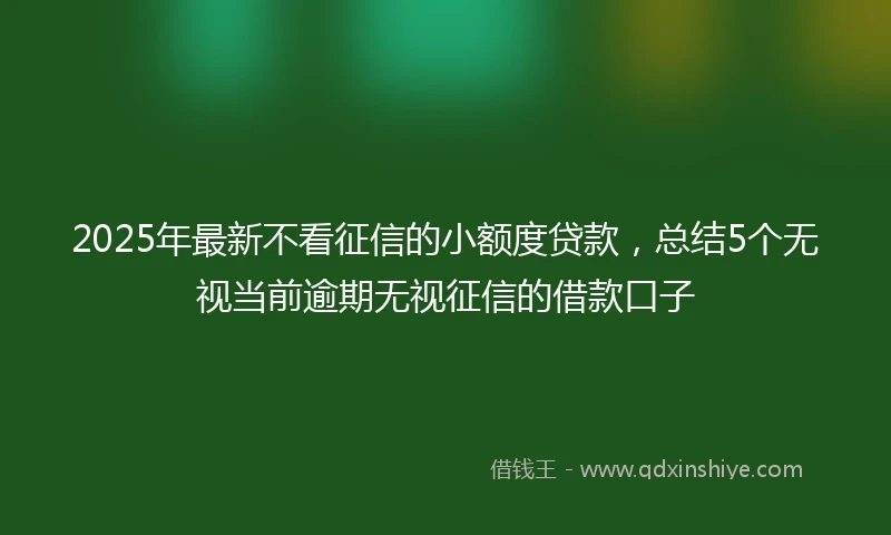 2025年最新不看征信的小额度贷款，总结5个无视当前逾期无视征信的借款口子