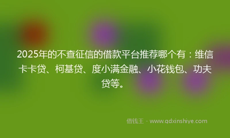 2025年的不查征信的借款平台推荐哪个有：维信卡卡贷、柯基贷、度小满金融、小花钱包、功夫贷等。