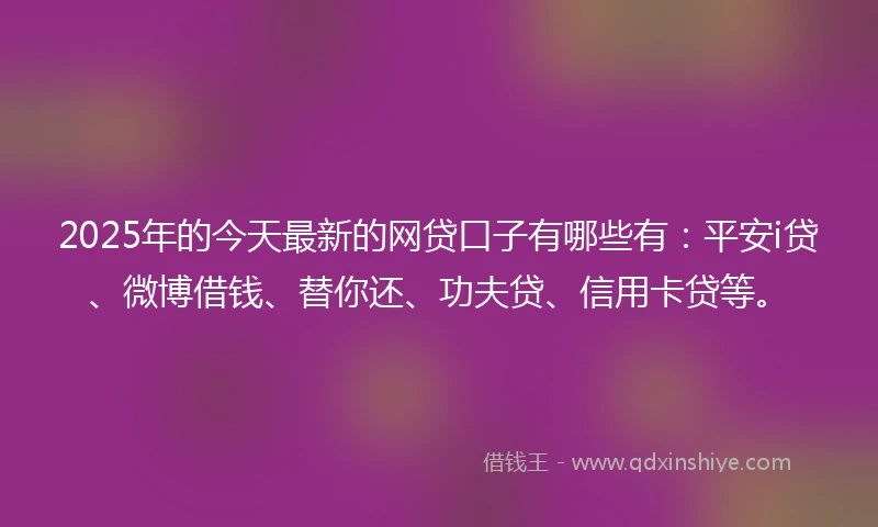 2025年的今天最新的网贷口子有哪些有：平安i贷、微博借钱、替你还、功夫贷、信用卡贷等。