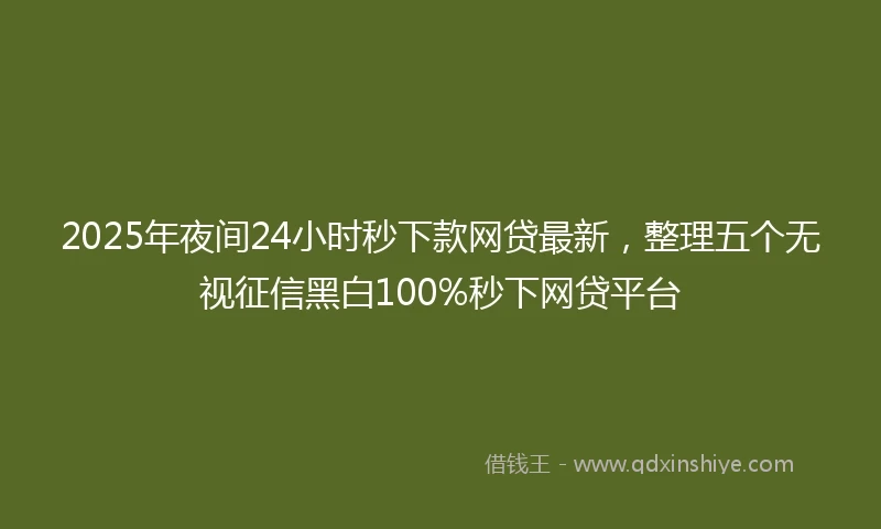 2025年夜间24小时秒下款网贷最新，整理五个无视征信黑白100%秒下网贷平台