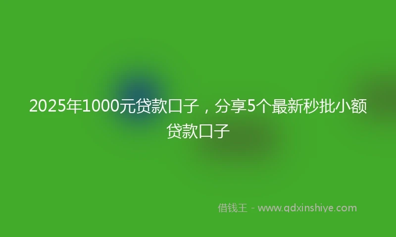 2025年1000元贷款口子，分享5个最新秒批小额贷款口子