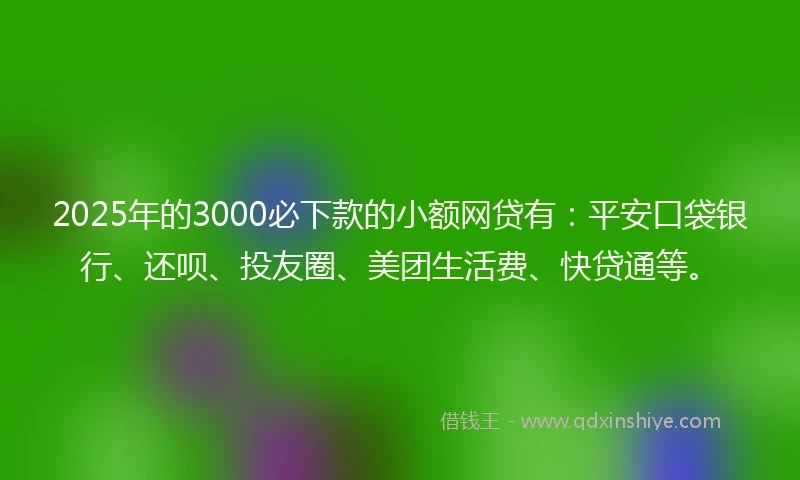 2025年的3000必下款的小额网贷有：平安口袋银行、还呗、投友圈、美团生活费、快贷通等。