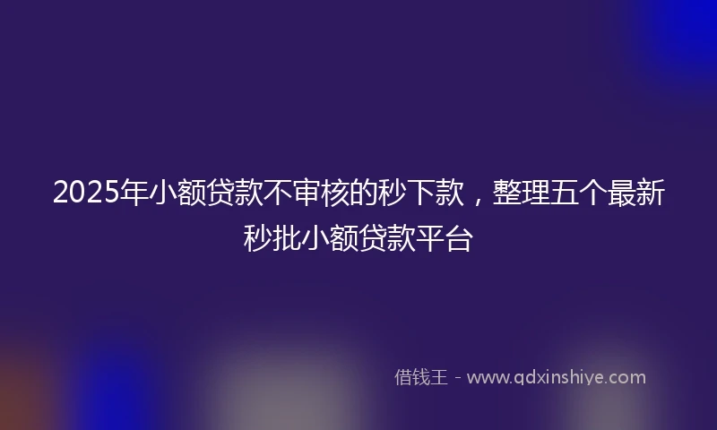 2025年小额贷款不审核的秒下款，整理五个最新秒批小额贷款平台