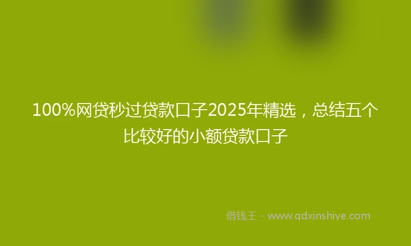 100%网贷秒过贷款口子2025年精选，总结五个比较好的小额贷款口子
