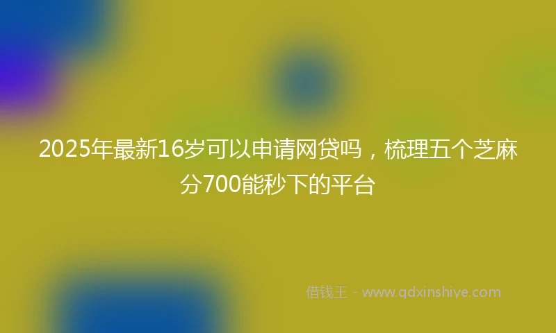 2025年最新16岁可以申请网贷吗，梳理五个芝麻分700能秒下的平台