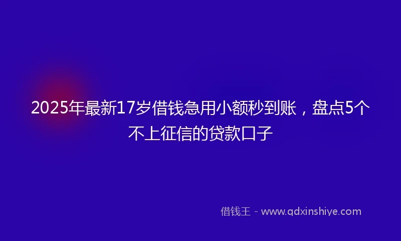 2025年最新17岁借钱急用小额秒到账，盘点5个不上征信的贷款口子