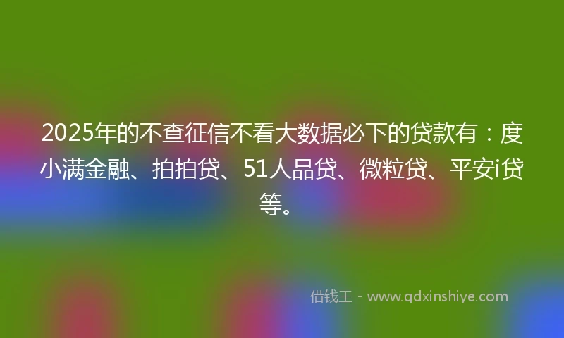 2025年的不查征信不看大数据必下的贷款有：度小满金融、拍拍贷、51人品贷、微粒贷、平安i贷等。