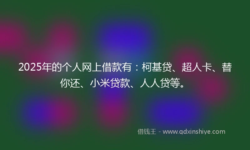 2025年的个人网上借款有：柯基贷、超人卡、替你还、小米贷款、人人贷等。