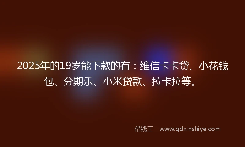 2025年的19岁能下款的有：维信卡卡贷、小花钱包、分期乐、小米贷款、拉卡拉等。