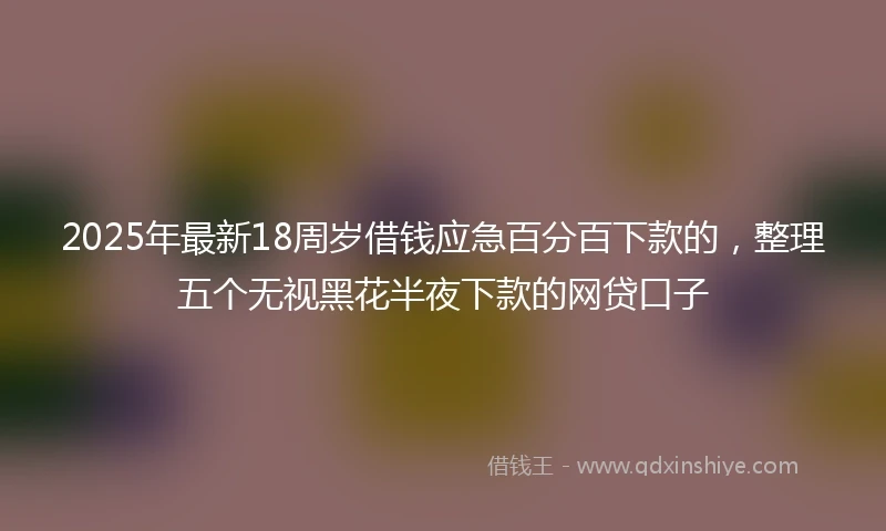 2025年最新18周岁借钱应急百分百下款的，整理五个无视黑花半夜下款的网贷口子