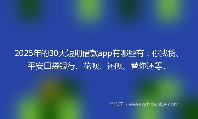 2025年的30天短期借款app有哪些有：你我贷、平安口袋银行、花呗、还呗、替你还等。