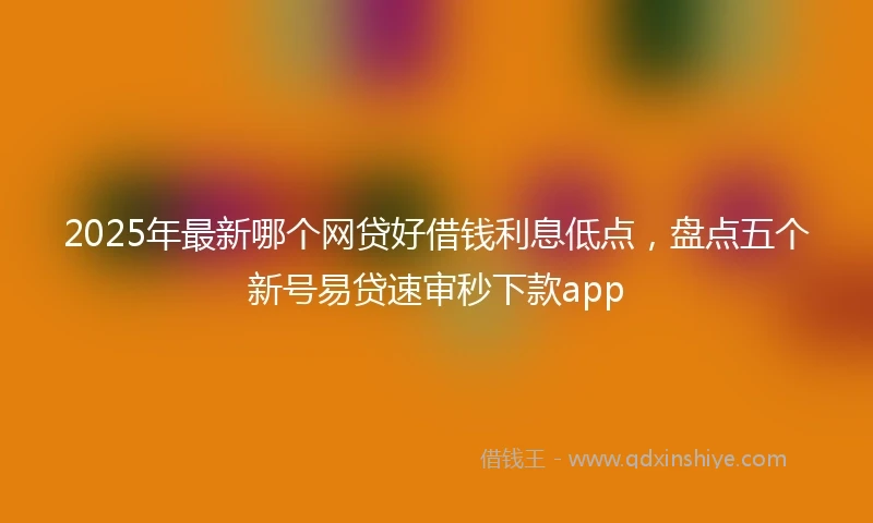 2025年最新哪个网贷好借钱利息低点，盘点五个新号易贷速审秒下款app