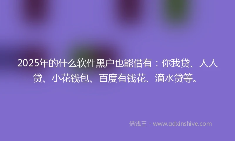 2025年的什么软件黑户也能借有：你我贷、人人贷、小花钱包、百度有钱花、滴水贷等。
