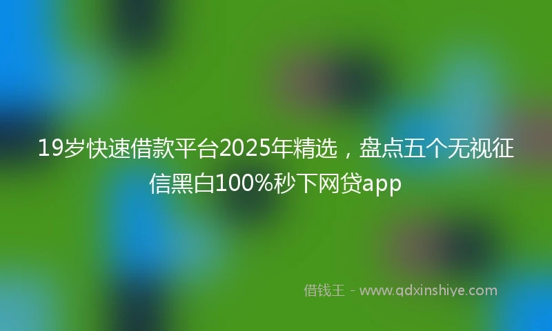 19岁快速借款平台2025年精选，盘点五个无视征信黑白100%秒下网贷app