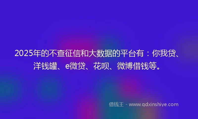 2025年的不查征信和大数据的平台有：你我贷、洋钱罐、e微贷、花呗、微博借钱等。