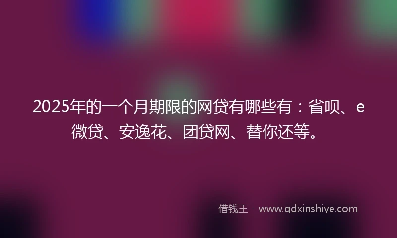 2025年的一个月期限的网贷有哪些有：省呗、e微贷、安逸花、团贷网、替你还等。