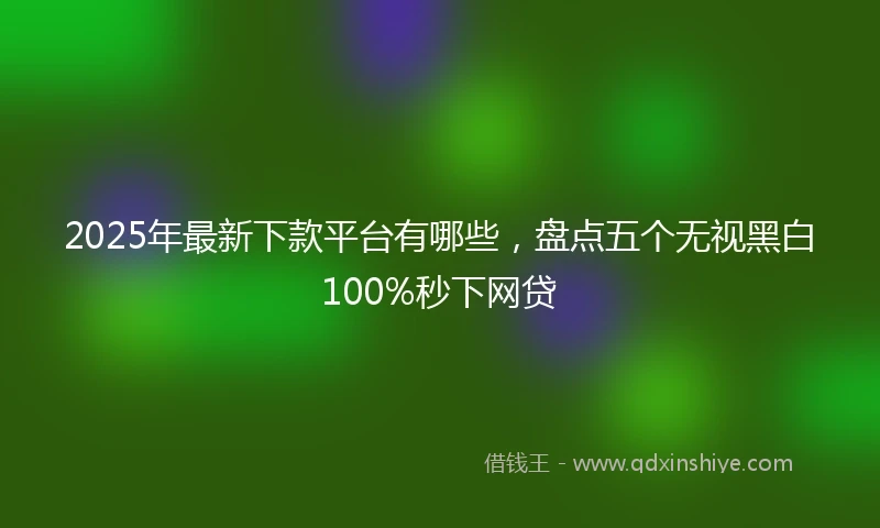 2025年最新下款平台有哪些，盘点五个无视黑白100%秒下网贷