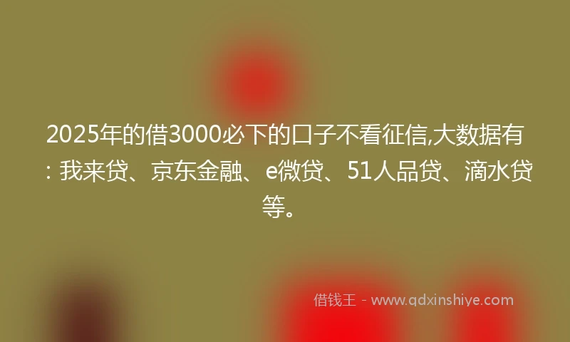 2025年的借3000必下的口子不看征信,大数据有：我来贷、京东金融、e微贷、51人品贷、滴水贷等。