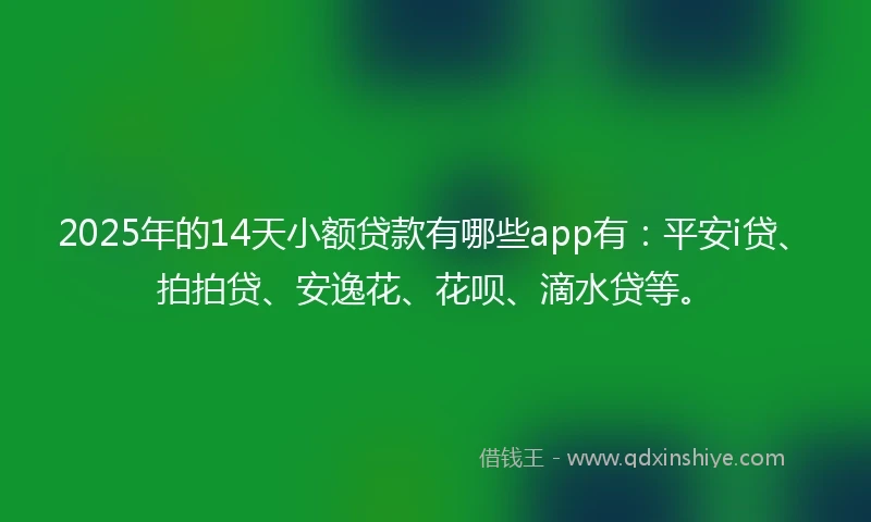 2025年的14天小额贷款有哪些app有：平安i贷、拍拍贷、安逸花、花呗、滴水贷等。