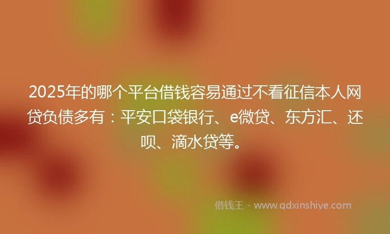 2025年的哪个平台借钱容易通过不看征信本人网贷负债多有：平安口袋银行、e微贷、东方汇、还呗、滴水贷等。