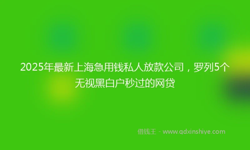 2025年最新上海急用钱私人放款公司，罗列5个无视黑白户秒过的网贷