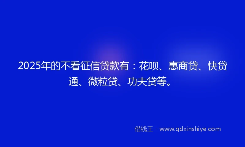 2025年的不看征信贷款有：花呗、惠商贷、快贷通、微粒贷、功夫贷等。
