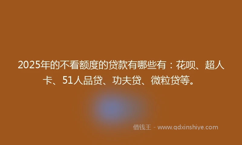 2025年的不看额度的贷款有哪些有：花呗、超人卡、51人品贷、功夫贷、微粒贷等。