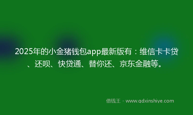 2025年的小金猪钱包app最新版有：维信卡卡贷、还呗、快贷通、替你还、京东金融等。