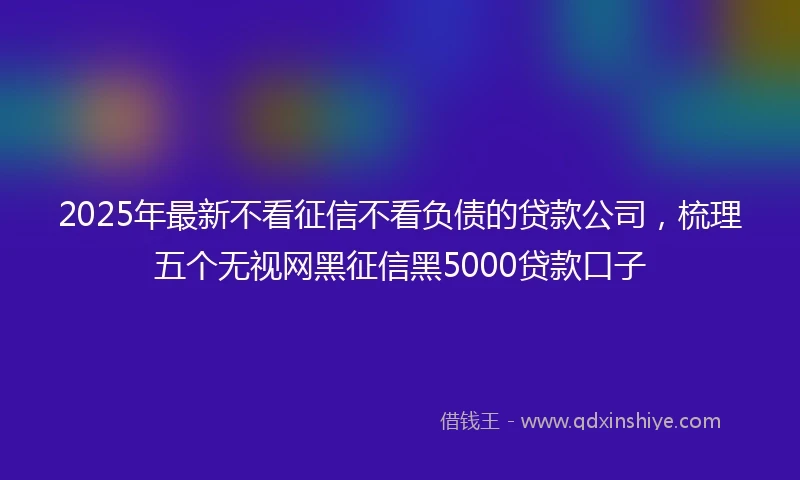 2025年最新不看征信不看负债的贷款公司，梳理五个无视网黑征信黑5000贷款口子