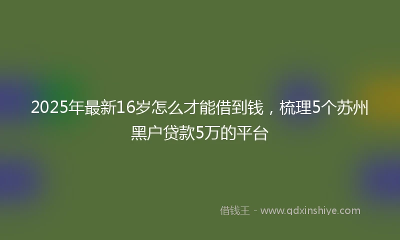 2025年最新16岁怎么才能借到钱，梳理5个苏州黑户贷款5万的平台