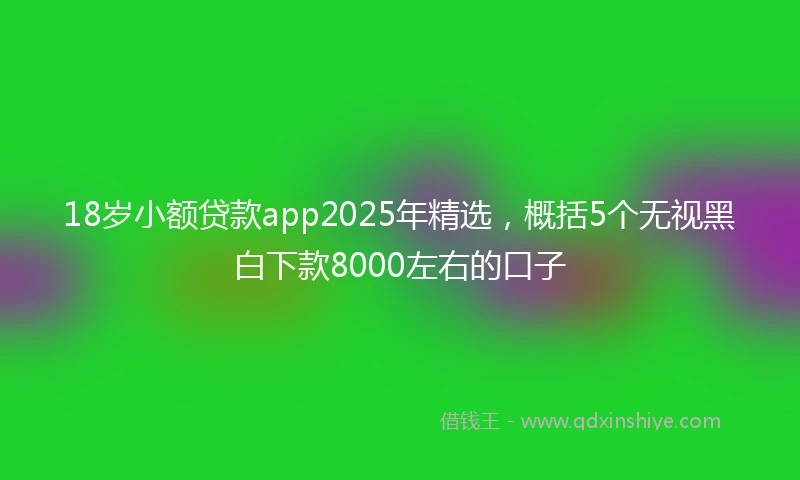18岁小额贷款app2025年精选，概括5个无视黑白下款8000左右的口子