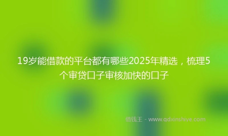 19岁能借款的平台都有哪些2025年精选，梳理5个审贷口子审核加快的口子