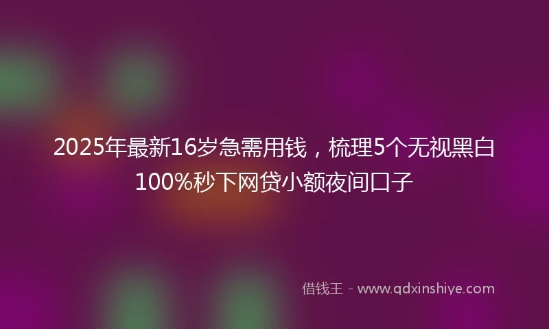 2025年最新16岁急需用钱，梳理5个无视黑白100%秒下网贷小额夜间口子