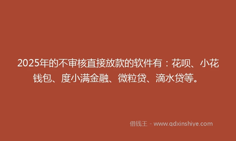 2025年的不审核直接放款的软件有：花呗、小花钱包、度小满金融、微粒贷、滴水贷等。