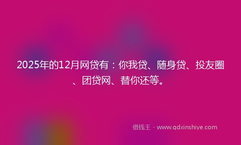 2025年的12月网贷有：你我贷、随身贷、投友圈、团贷网、替你还等。
