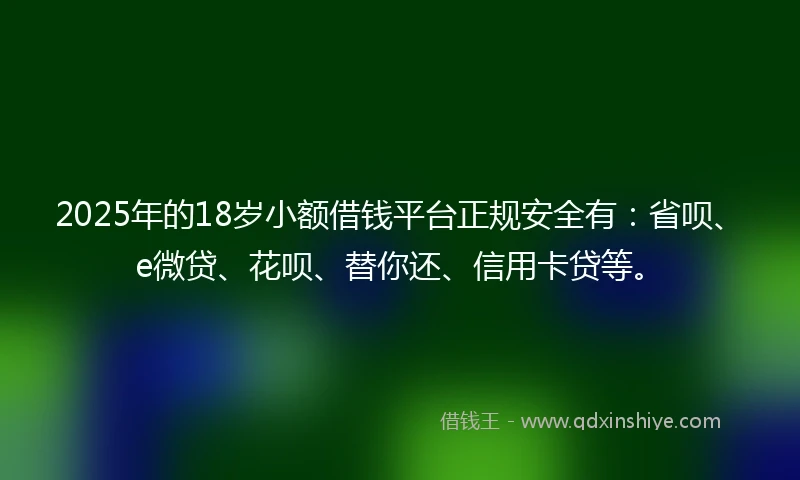 2025年的18岁小额借钱平台正规安全有：省呗、e微贷、花呗、替你还、信用卡贷等。