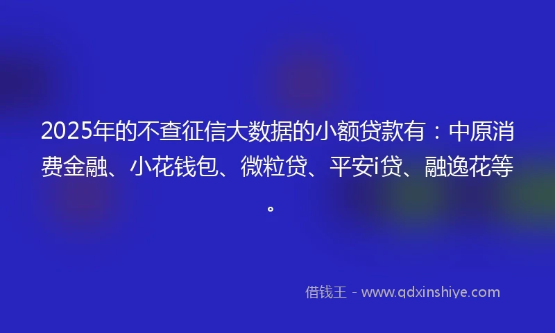 2025年的不查征信大数据的小额贷款有：中原消费金融、小花钱包、微粒贷、平安i贷、融逸花等。