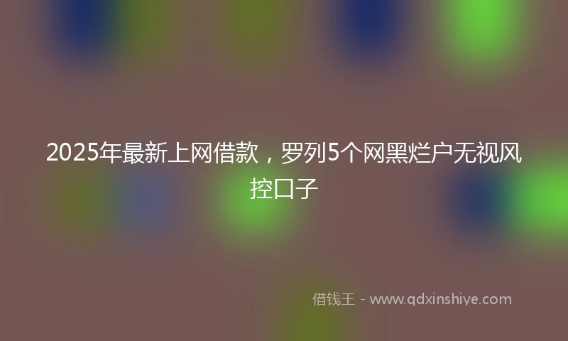 2025年最新上网借款，罗列5个网黑烂户无视风控口子